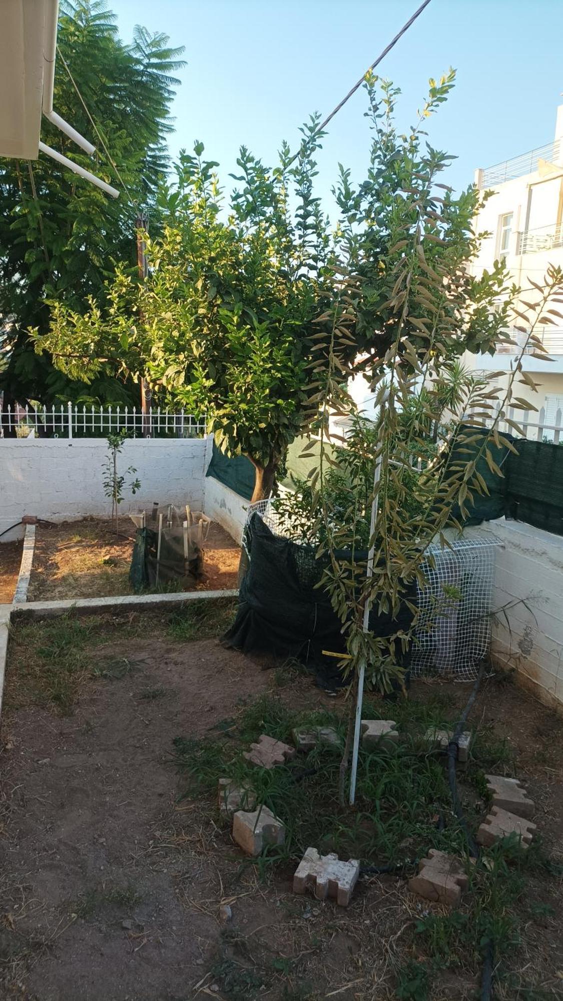 Villa Chalkis 외부 사진